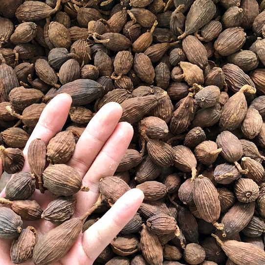 草果 香料调料 中药材 草果仁 500g克 中药材初级农产品