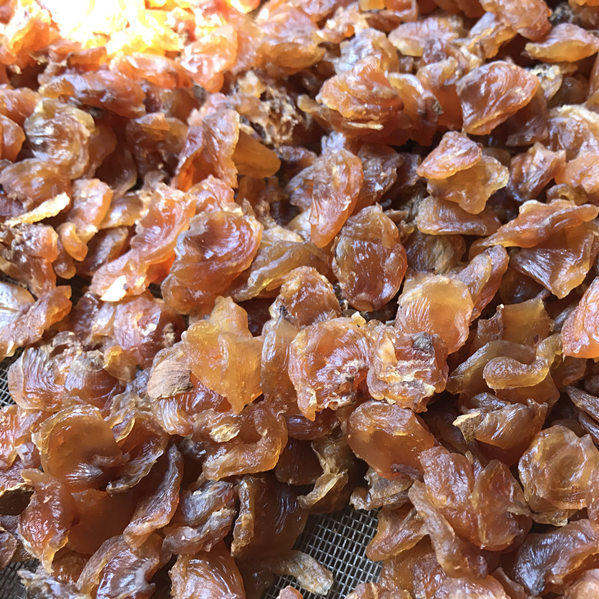 桂圆肉干 元肉 龙眼肉干 无核桂圆干 中药材 500g克包邮