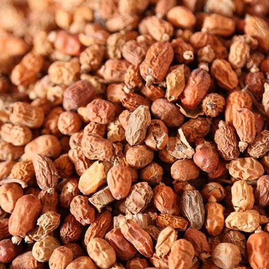 红豆蔻 香料 红寇 山姜子 红豆扣 500g克包邮 中草药材