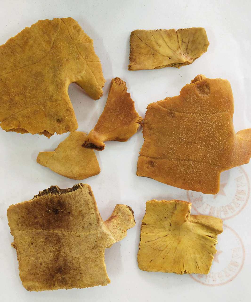 好龟甲底 龟板 龟甲 中草药材 500g克包邮