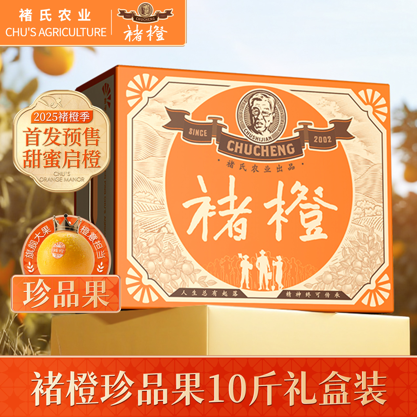 褚橙新鲜珍品礼盒装10斤水果