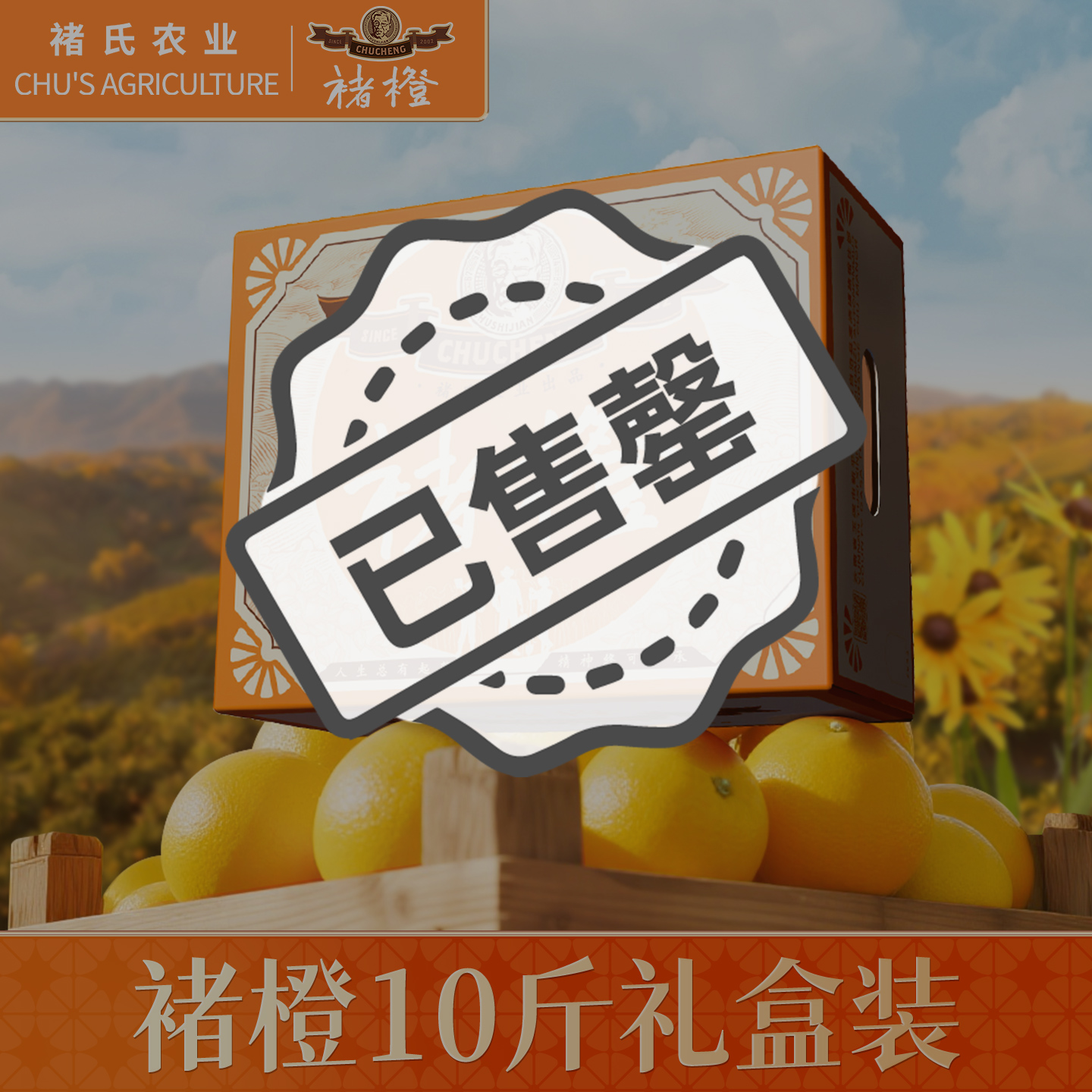 官方直供褚橙5KG礼盒装