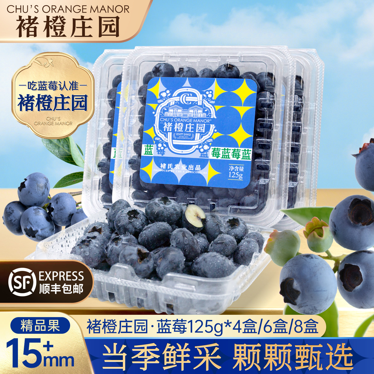 褚橙庄园蓝莓15mm+125g脆甜花香蓝莓应季鲜果顺丰 4/6/8盒