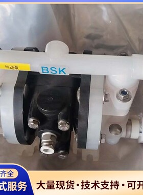 BSK气动隔膜泵 BP10PP-PTT4-A