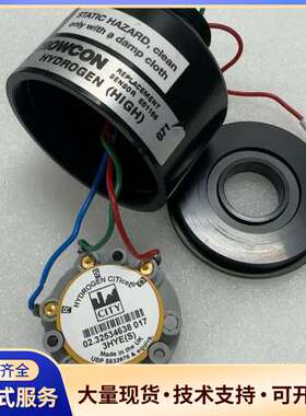 CITY citicelr氯化氢探头传感器3HYE(S)