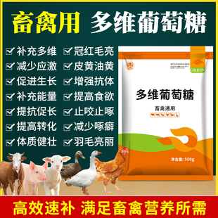 多维葡萄糖兽用鸡鸭鹅猪牛羊补充维生素抗应激氨基酸小鸡开口促长