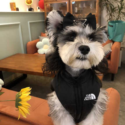 背心服装秋冬季宠物狗衣服泰迪雪纳瑞狗小型犬加厚保暖狗外套马甲