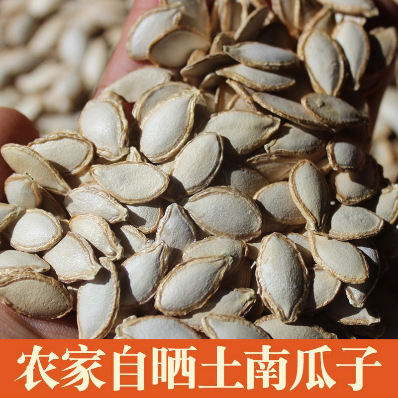 四川农家自晒生南瓜子土南瓜籽老品种手工挑选带壳原味新鲜生瓜子