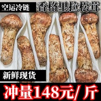 【现货空运】2023年云南香格里拉野生新鲜松茸菌特级500g鲜耸松荣