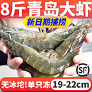 新鲜大虾水冻青岛特大基围虾鲜活冷冻白虾类海虾对虾超大海鲜水产