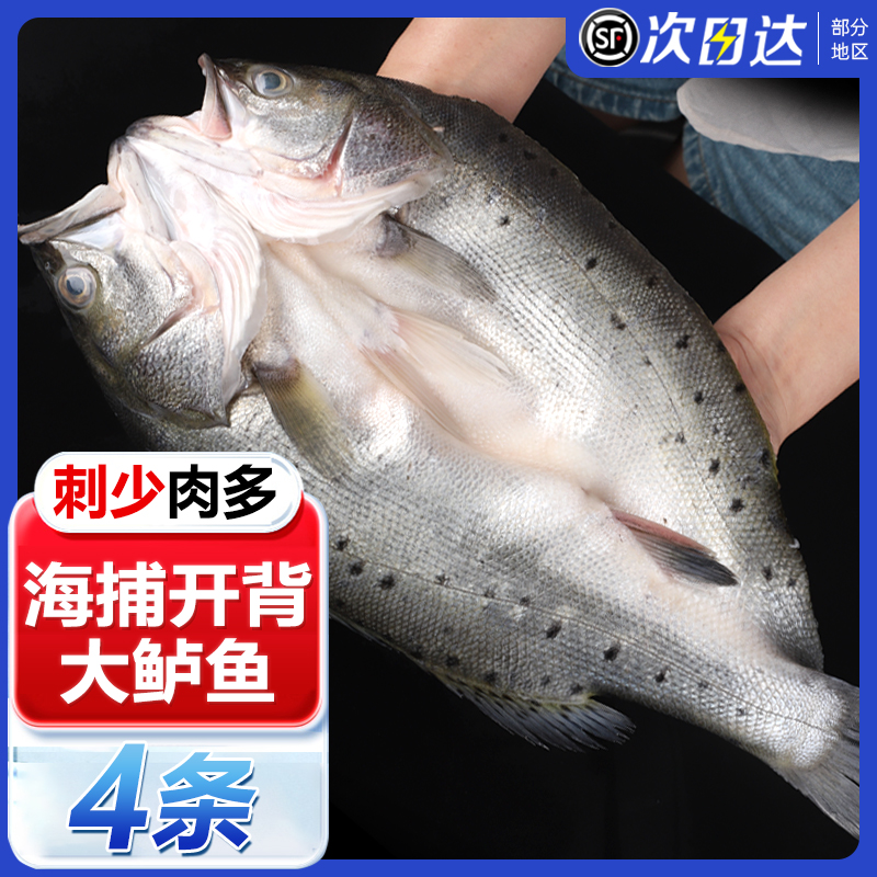 名扬湖海开背鲈鱼本成品