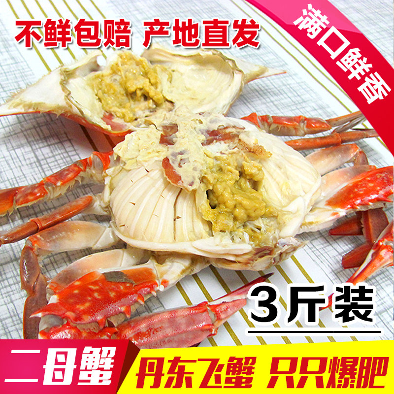 丹东飞蟹爆肥叉脐蟹二母蟹3斤装