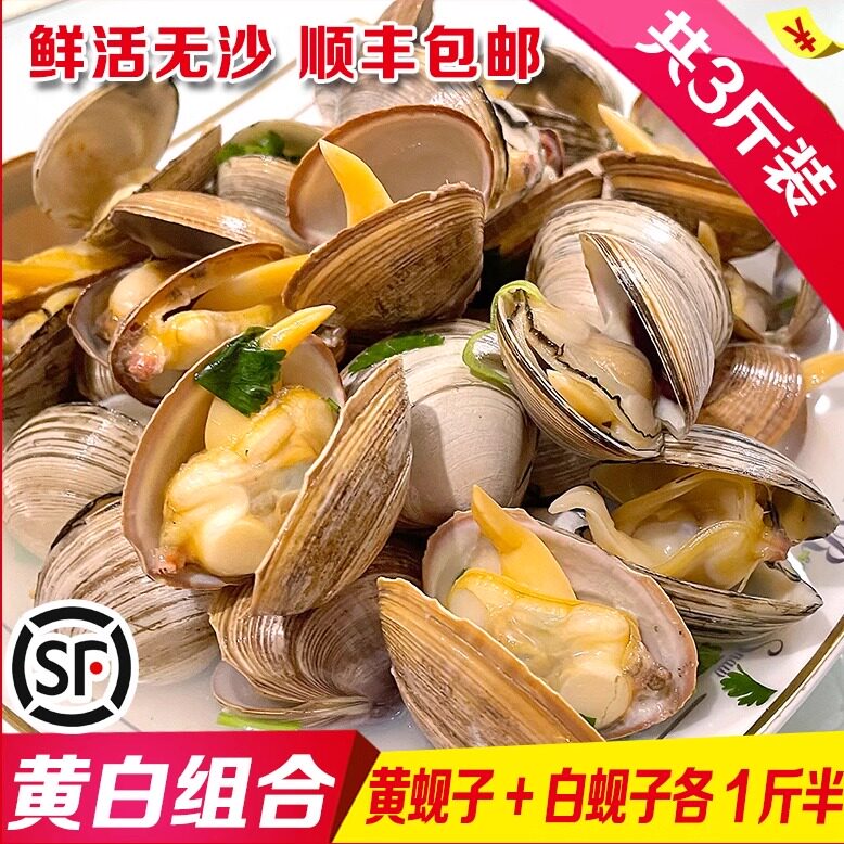 大黄蚬子大白蚬子组合装丹东特产野生鲜活无沙蛤蜊黄贝花甲3斤装