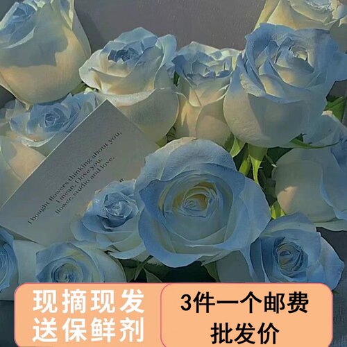 花姿上品10朵碎冰蓝基地新鲜采摘