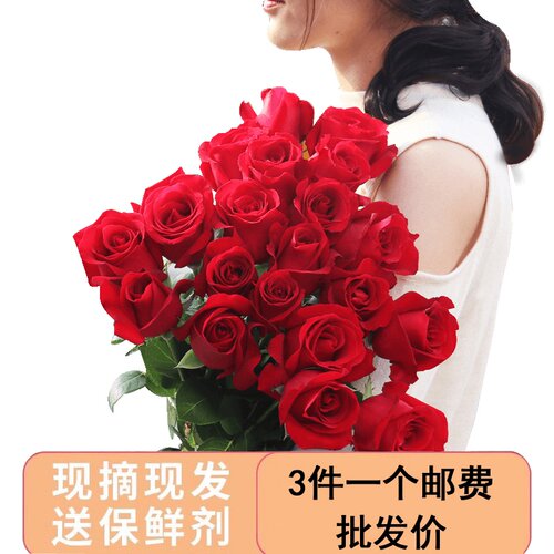 云南基地直发混搭百合花速递