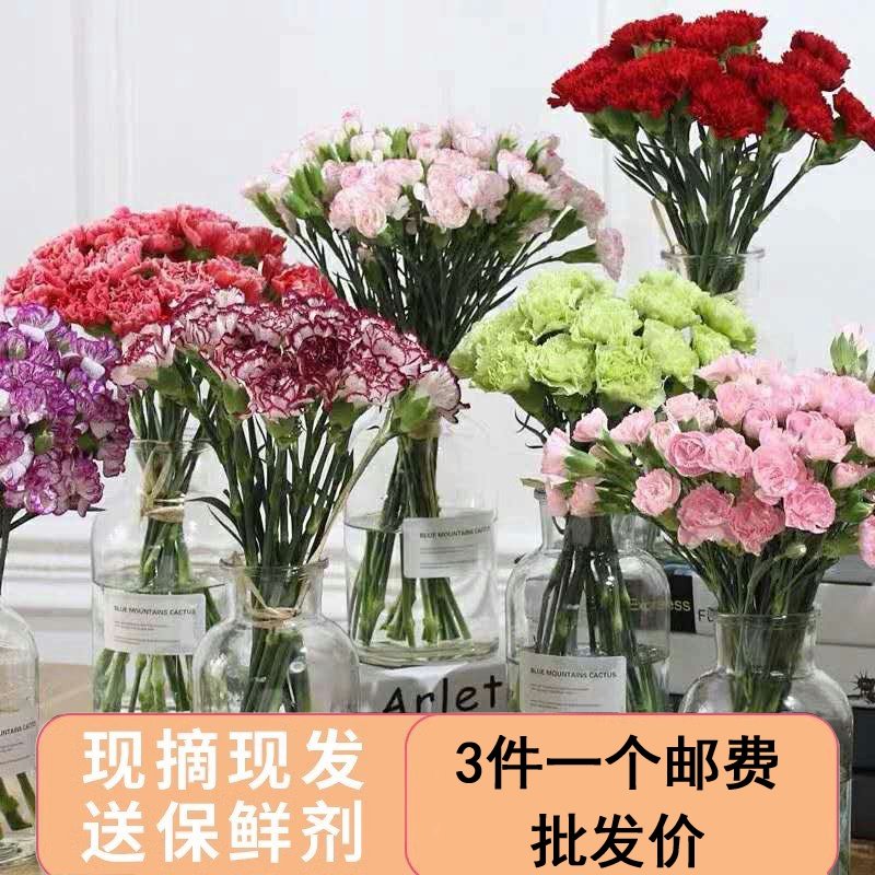 康乃馨鲜花云南昆明直发批发送妈妈家养插花瓶鲜切花,鲜花速递/花卉仿真/绿植园艺,花材,淘宝优惠券,粉丝福利购,淘宝优惠卷