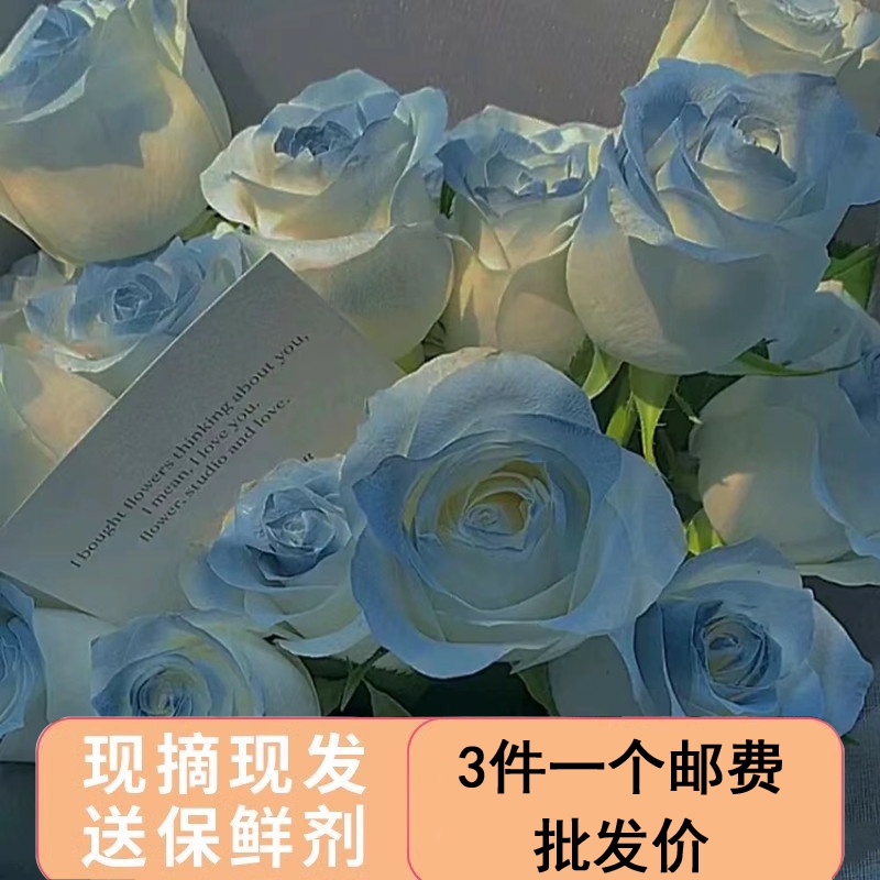 花姿上品10朵碎冰蓝基地新鲜采摘