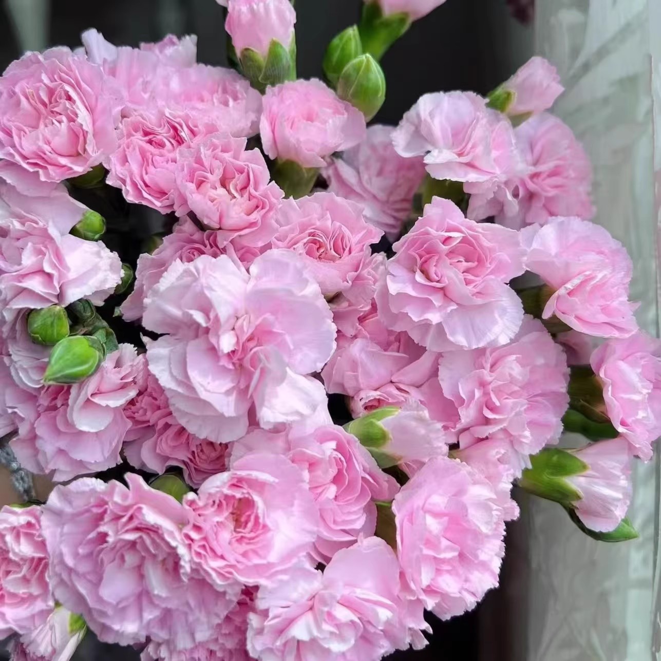 鲜花向日葵百合康乃馨云南水养
