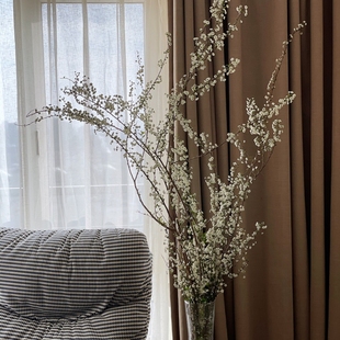 过年圣诞招财喜庆雪柳银柳真花干花装饰家中客厅花瓶年宵花