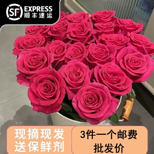 弗洛伊德玫鲜花节日送女友红玫瑰同城速递花束云南鲜花家用插花