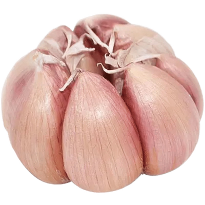 新干蒜农家自种紫白皮种子