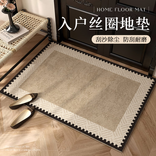 高级感除尘丝圈地垫家用
