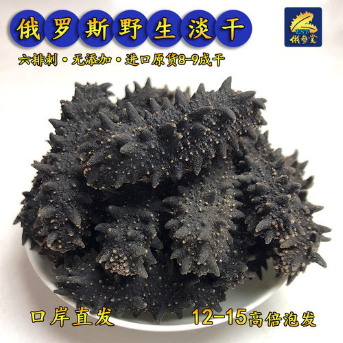 俄参堂进口纯野生俄罗斯淡干海参