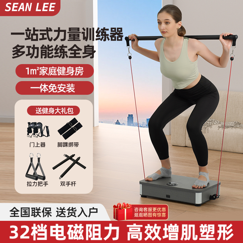 SEANLEE综合力量训练器拉力