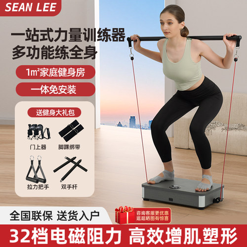 SEANLEE综合力量训练器拉力