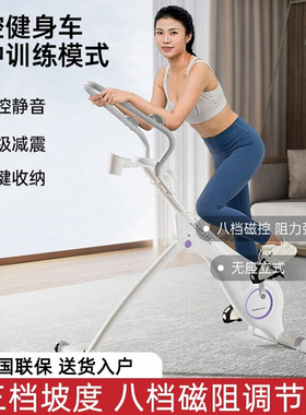 SEAN LEE动感单车家用静音磁控健身车燃脂减肥器材室内自行车折叠