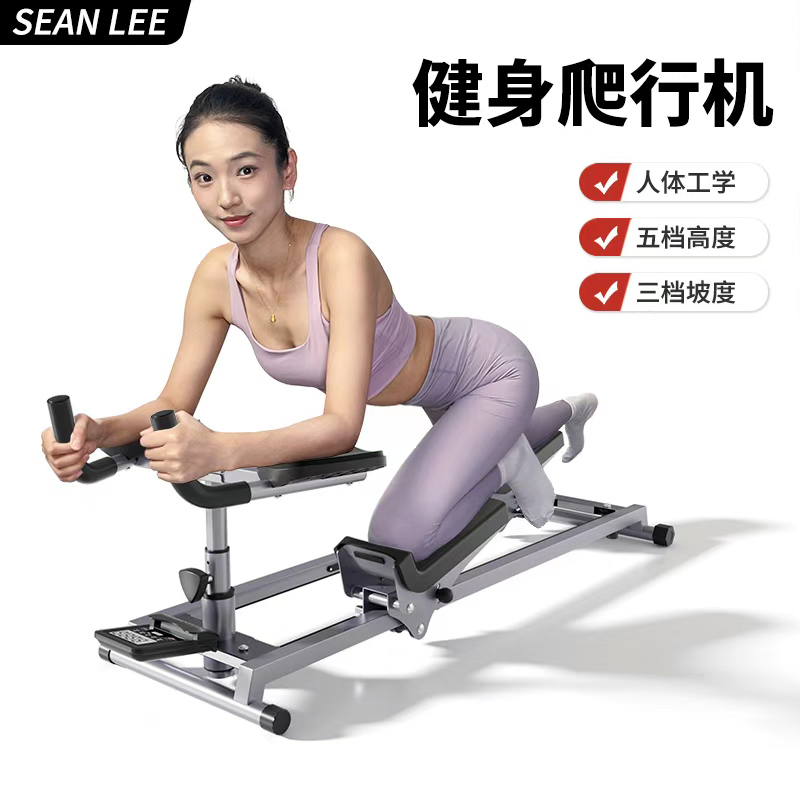 爬行运动锻炼腰椎脊椎身体协调