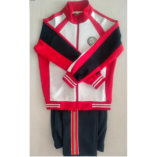 校服顺成是一浑南一中秋季  9年级 学院风学生装校服学生专拍