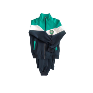 校服顺成是一汪家小学秋季款长袖长裤男生  女生学院风学学生专拍