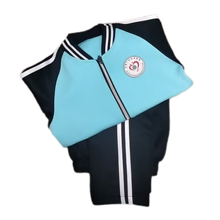 校服顺成是一  浑南二小    秋装  夏装 小学生校服学生专拍