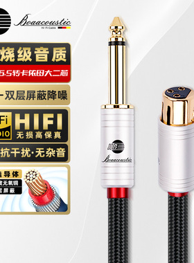 JIB德国蟒蛇hifi发烧级4N无氧铜卡农头卡侬母转6.5MM大二芯大三芯6.35MM音频线麦克风话筒线双层屏蔽BB122