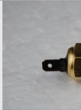 吉奥1020 2.1 4L22CR发动机水温传感器单插原厂