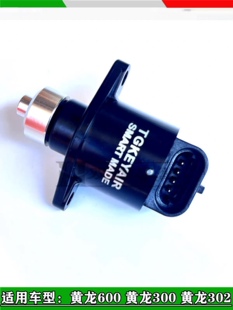 适黄龙300黄龙300追赛350追赛600飓风龙卷风302R怠速马达步进电机