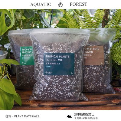 天南星科蔓绿绒花烛海芋通用介质