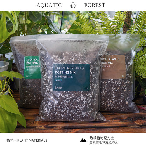 天南星科蔓绿绒花烛海芋通用介质