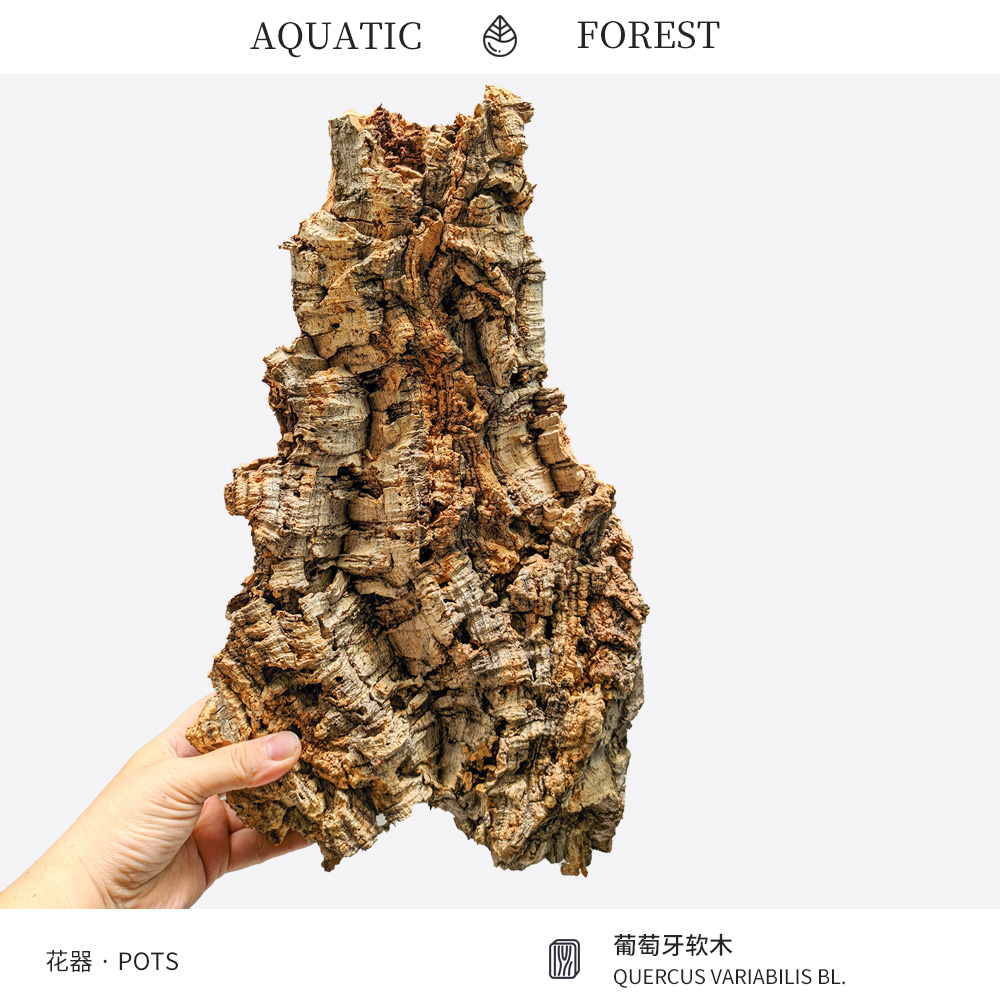 葡萄牙软木 鹿角蕨板植 石斛洋兰蝴蝶兰天然树皮 爬宠雨林造景