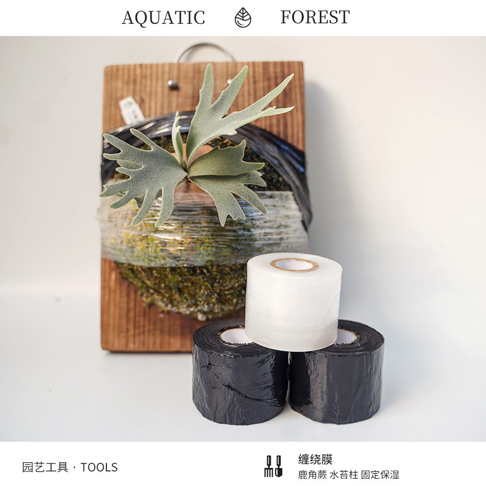 缠绕膜 PE园艺剪枝 果树嫁接 水苔柱固定薄款通用透光包裹水苔,鲜花速递/花卉仿真/绿植园艺,其它园艺用品,淘宝优惠券,粉丝福利购,淘宝优惠卷