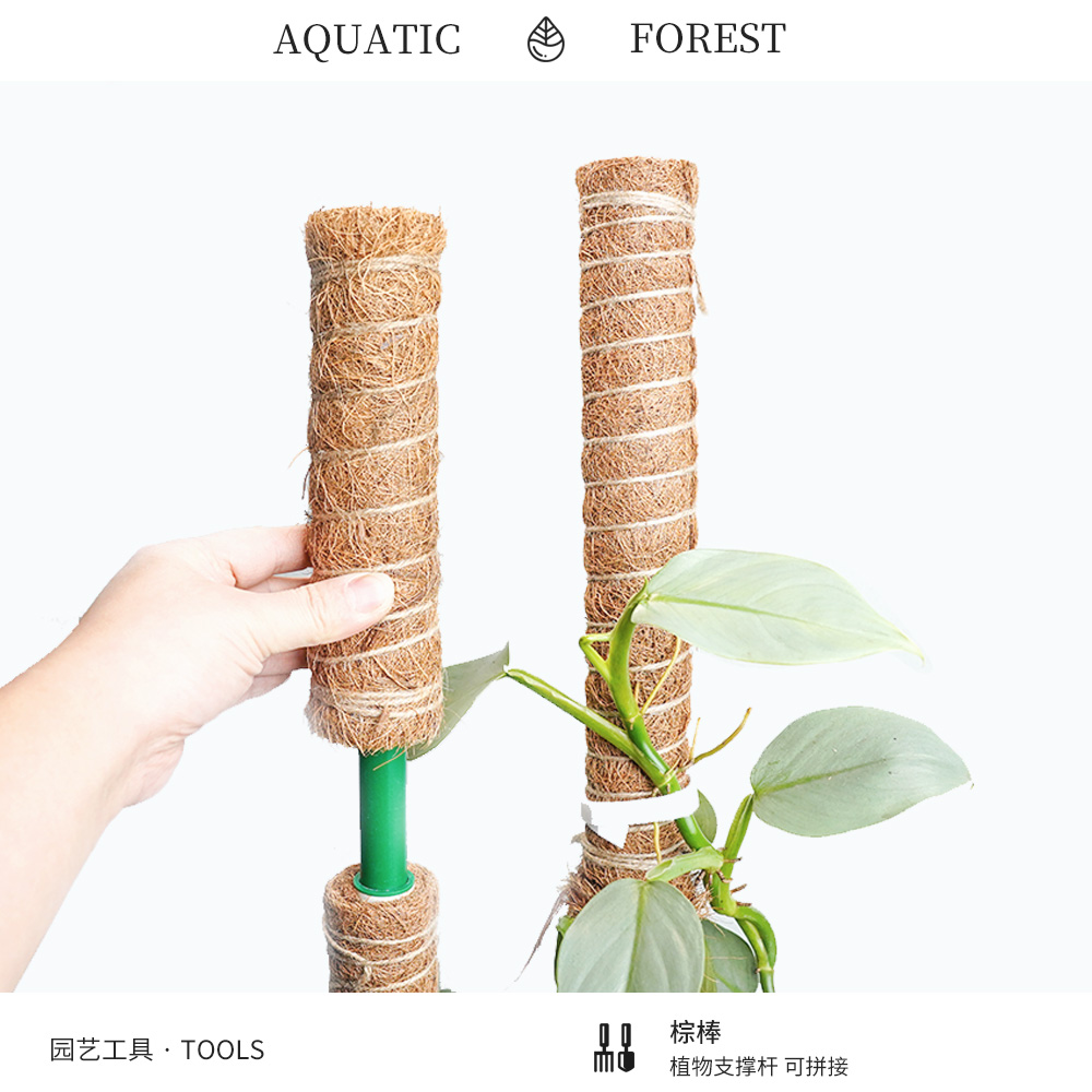 椰棕棒龟背竹蔓绿绒攀爬即插即用