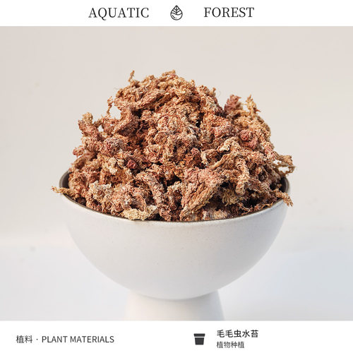 智利进口毛毛虫水苔 鹿角蕨兰花蝴蝶兰植料 七星干苔藓龟爬宠垫材 - 封面