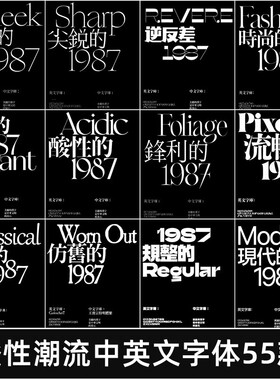 酸性中文英文字体包下载ps/procreate/ae/pr/id/cdr字体素材