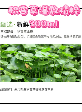 【积雪草湿敷精粹液300ml】修复角质屏障，改善闭口不耐受