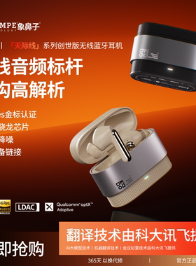【高通·金标】象鼻子大怪兽天际线AI翻译无线蓝牙耳机D33入耳式