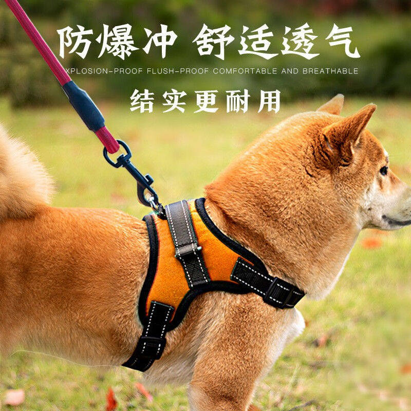 磊嘉【加长2米绳】狗绳狗链柯基胸背带牵引绳中大型小型犬遛狗绳高性价比高么？
