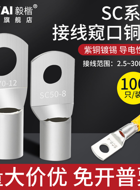 冷压窥口鼻SC2.5/4/6/10/35/70/95/120/185平方镀锡铜鼻子接线端