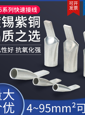 C45鸭嘴鼻4/6/10/16/25/35/70/95平方冷压空开插针片式铜接线端子