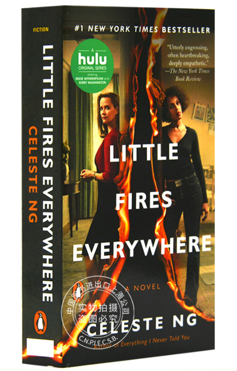 现货 小小小小的火 星星之火 遍地小火苗 美剧封面版 英文原版little